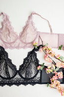 Regalables desde $25 hasta $44